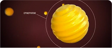 Epinephrine